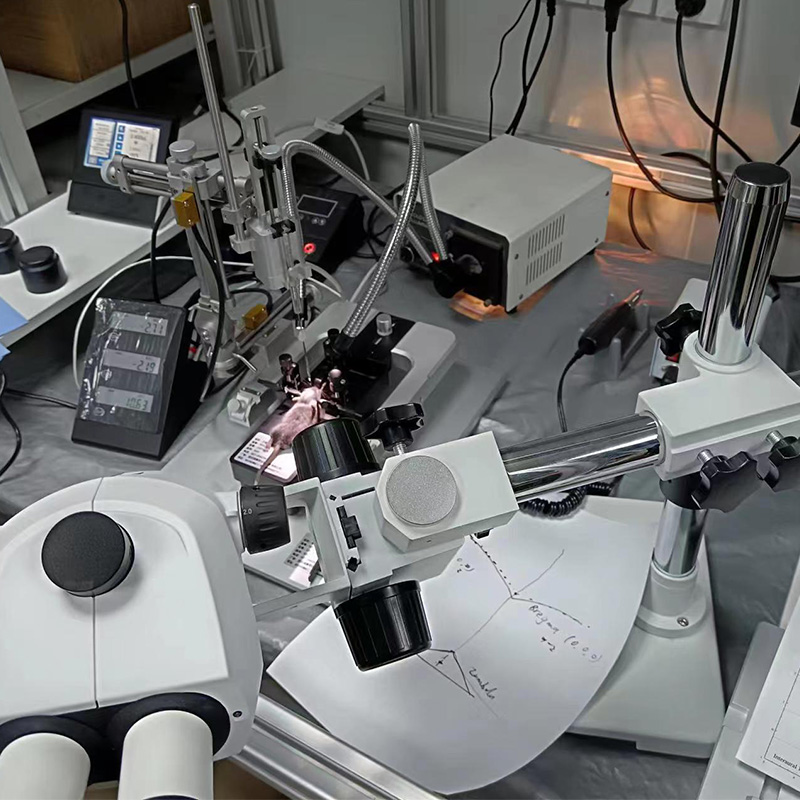 武漢大學(xué)-標準型數(shù)顯腦立體定位儀